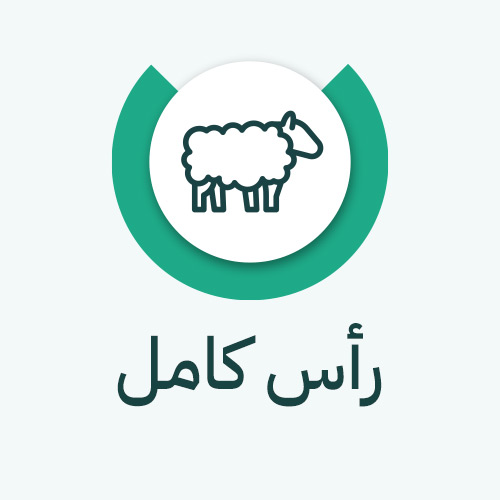 صدقة ذبيحة - افريقي