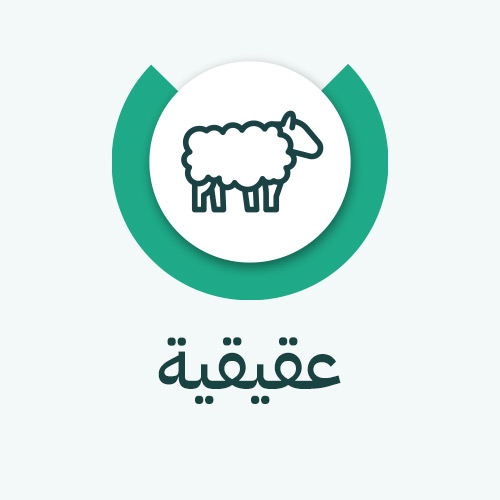 العقيقة - الافريقي